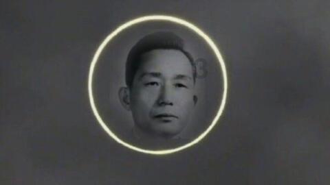 逗小猴开心系列211
